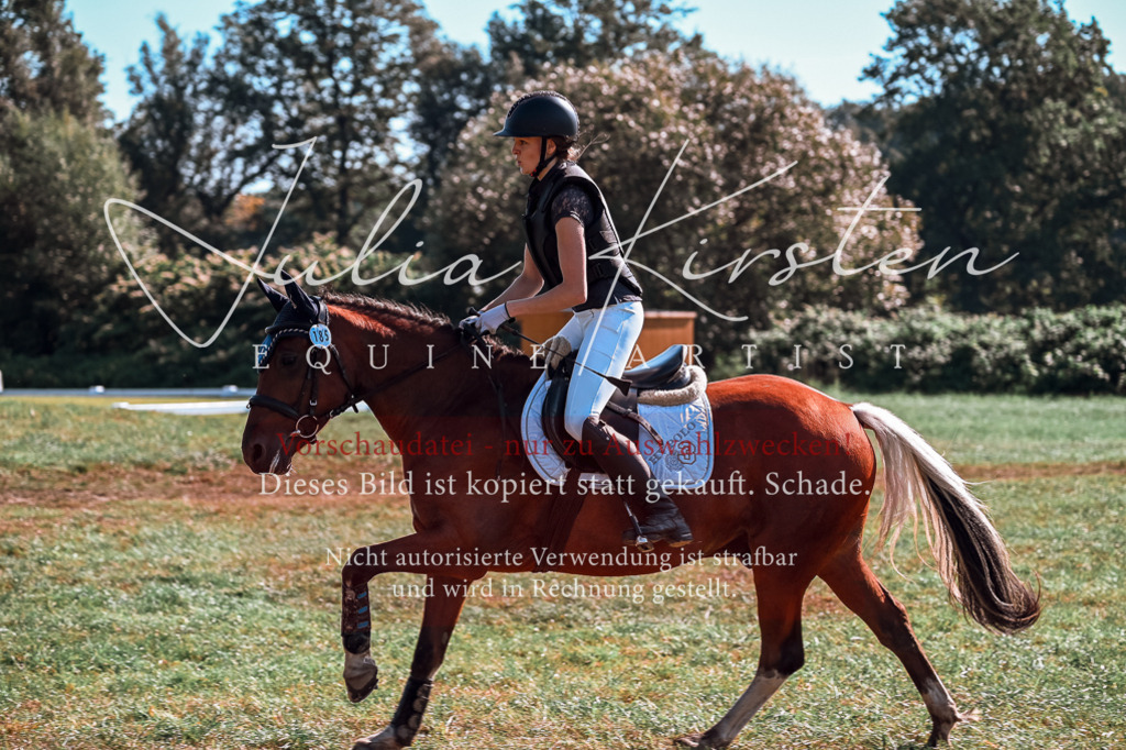 DSC_0928 | Pferde- und Turnierfotografie in Westsachsen. Pferdeportraits, Auftragszeichnungen und intuitive Kunst.