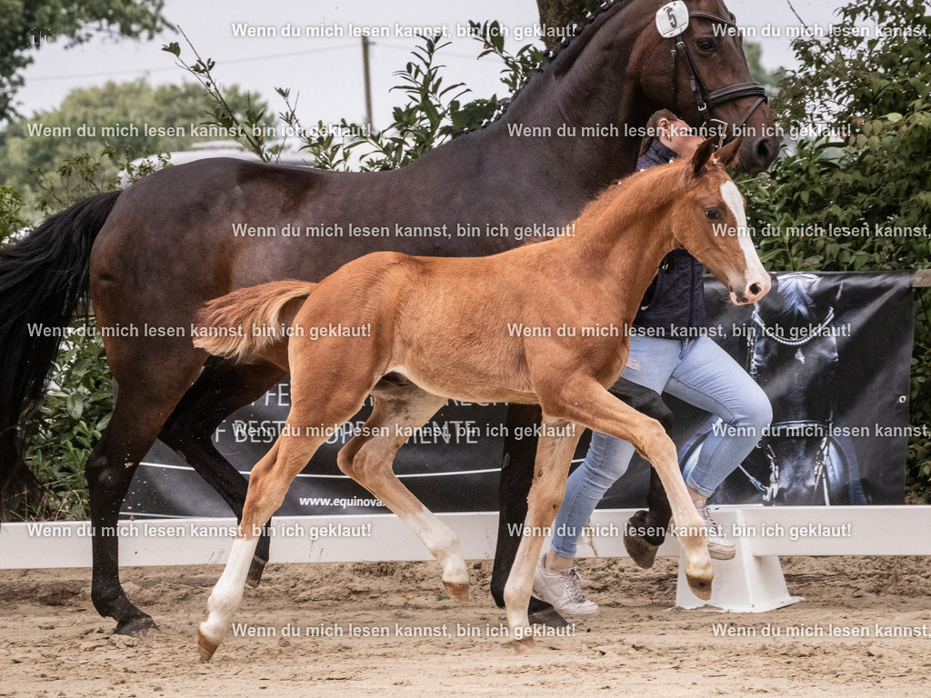 A10I9793 | photographylinaismer - Realisiert mit Pictrs.com