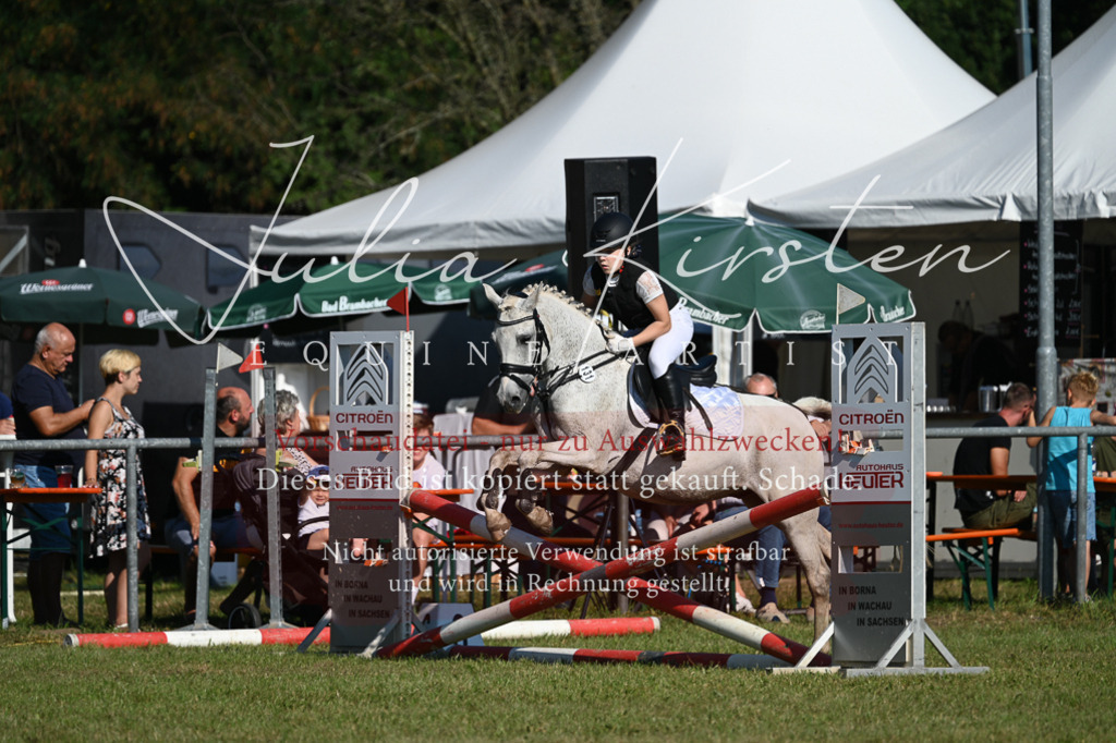 DSC_5267 | Pferde- und Turnierfotografie in Westsachsen. Pferdeportraits, Auftragszeichnungen und intuitive Kunst.