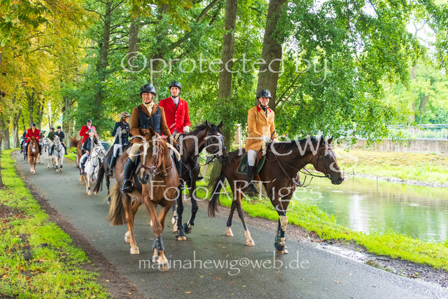 Jagd Kletkamp 26-9563_MarinaHewig | Fotografie, FotoArt, PferdesportArt, Pferdesportfotografie, Landschaftsfotografie, Reisefotografie, Reise, Pferde - Realisiert mit Pictrs.com