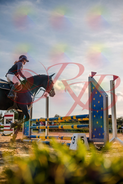 2026_10_03_Siefer-Hof_171508_Z63_21694424 | Professionelle Reitsport-, Turnier- und Eventfotografie von Robert Broda. Galerien mit ausgewählten und bearbeiteten Bildern direkt online ansehen und bestellen.