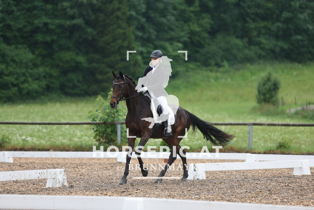 0P6A8536 | Willkommen bei Brunnmayr - Design & Fotografie – Ihrem Spezialisten für Reitturniere und Pferdeveranstaltungen in Oberösterreich, Salzburg und Bayern! Seit über 17 Jahren sind wir leidenschaftlich dabei.