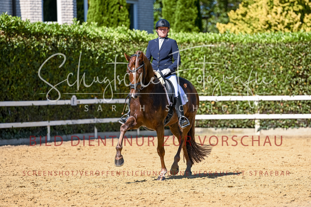 Schugtsche-Aluta25-50.Dressurpferdeprf.L-82 | Schugtsche Fotografie - Realisiert mit Pictrs.com