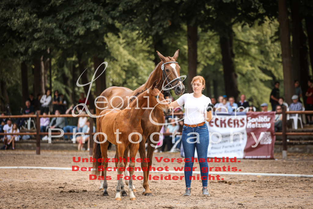 SaFohlen00231 | Leoni Ertmer Photography - Realisiert mit Pictrs.com