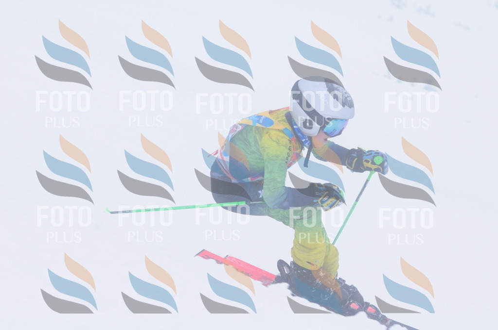 C2203 | holidayphoto