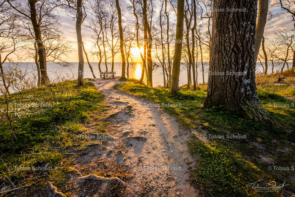 Fehmarn__DSC3228 | Fotoprodukte, Kalender und Wanddeko direkt vom Fotografen auf Fehmarn. Ob Wandbild auf Alu-Dibond, hinter Acrylglas oder auf Leinwand – hier können Sie Ihr Lieblingsbild kaufen. - Realisiert mit Pictrs.com