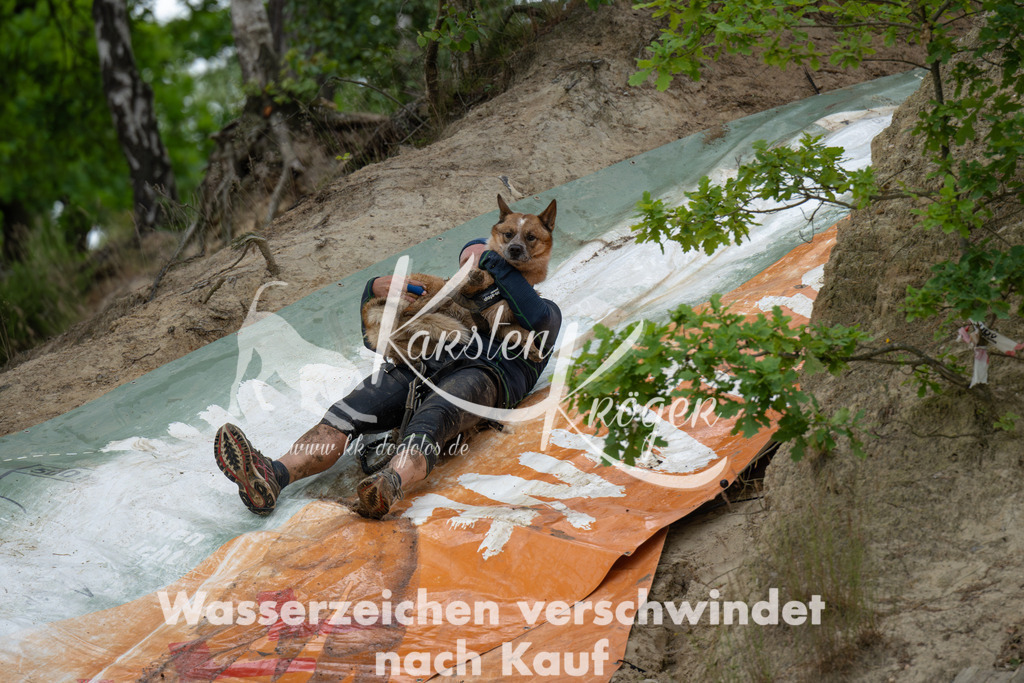 0921_ZZ90386-Verbessert-RR | kk-dogfotos
