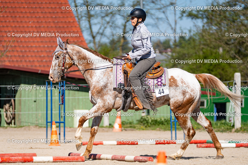 Balingen Tag 1-680 | dv-media-shop - Realisiert mit Pictrs.com