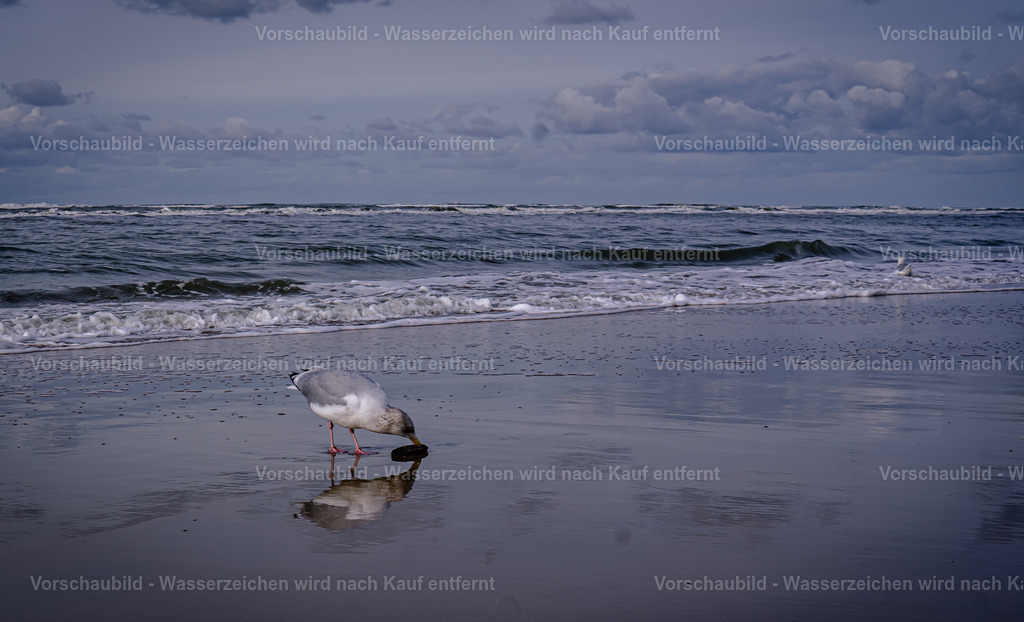 DSC01548-3 | marcuslinek