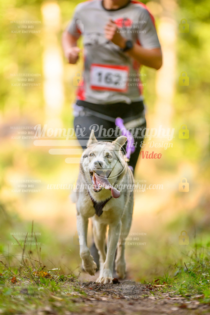 MompixPhotography_Yens2025_B3-209 | PayLife