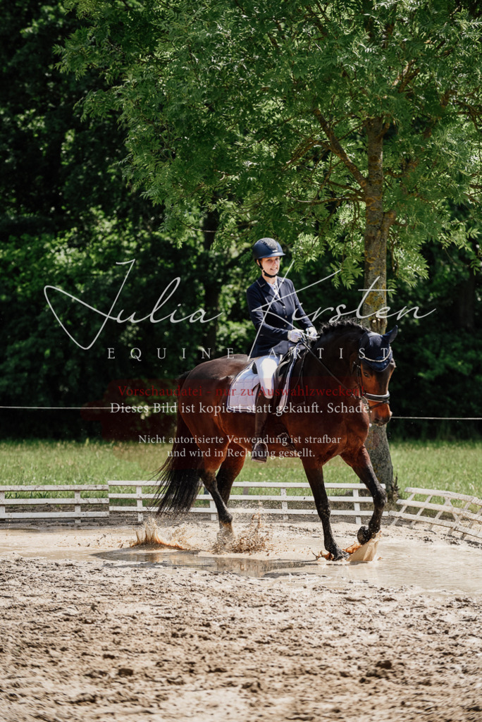 DSC_1435 | Pferde- und Turnierfotografie in Westsachsen. Pferdeportraits, Auftragszeichnungen und intuitive Kunst.