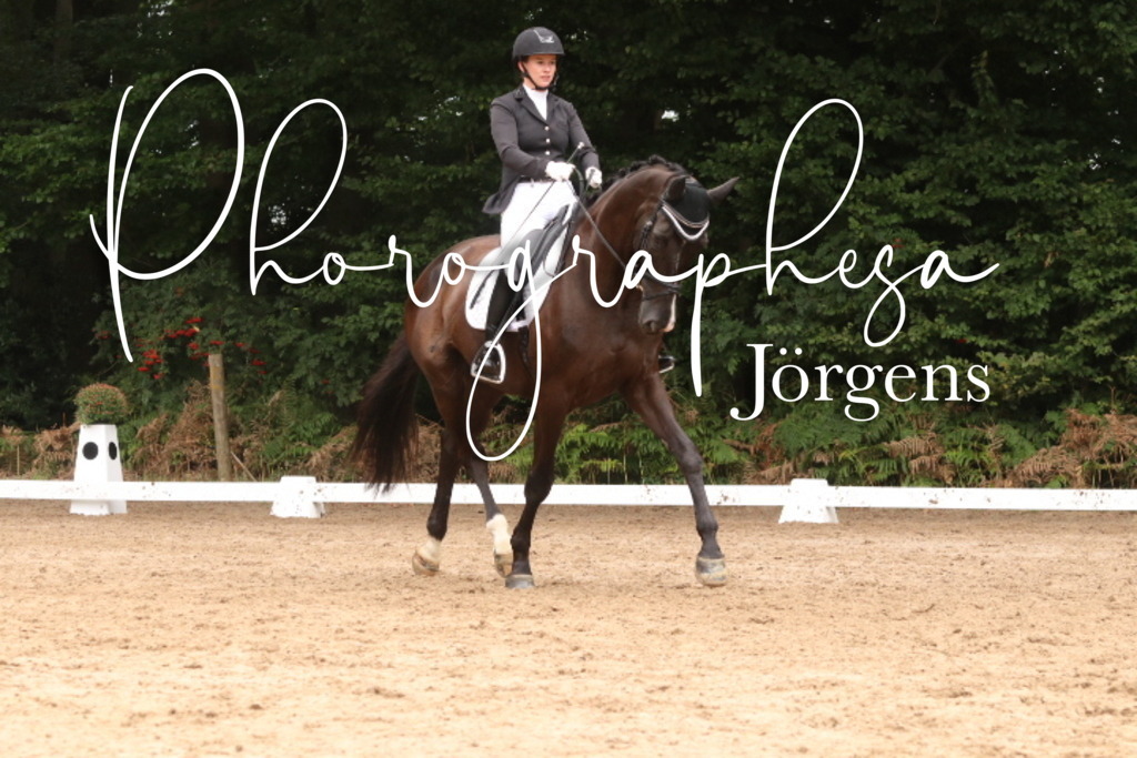 IMG_9807 | photographesa-joergens - Realisiert mit Pictrs.com