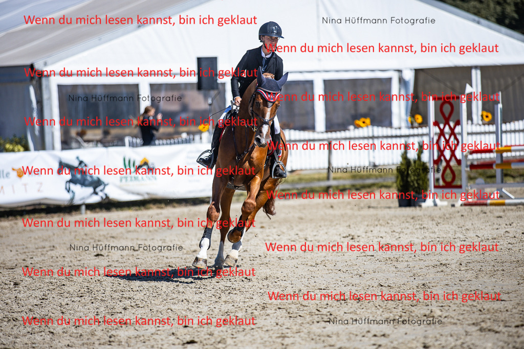 BK1A5527 | Turnierbilder Turnierfotos Nina Hüffmann Turnierfotografie Pferdefotografie Tierzeichnung Haustierzeichnung Pferdezeichnung Hundezeichnung Videograf  - Realisiert mit Pictrs.com