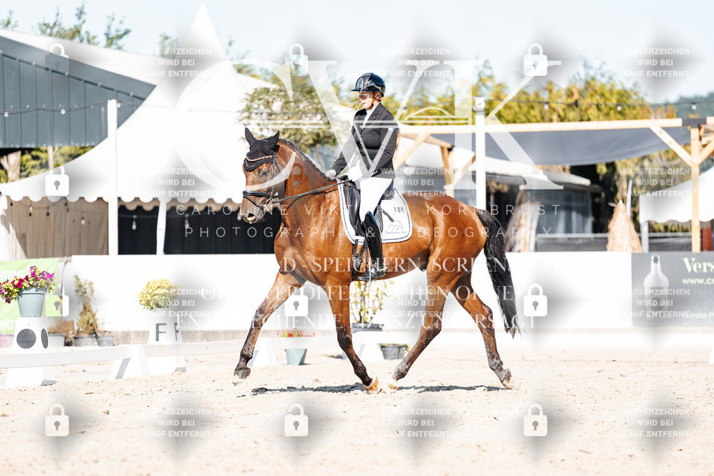CK908277 | Turnierfotografie Pferdefotografie Trier Rheinland-Pfalz Pferdesport Reitsport Tierfotografie Sportfotografie Pferdevideo Pferdevideografie Equestrianvideography equestrianphotography  - Realisiert mit Pictrs.com
