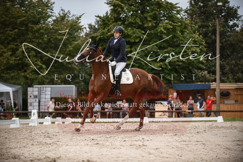 DSC_8383 | Pferde- und Turnierfotografie in Westsachsen. Pferdeportraits, Auftragszeichnungen und intuitive Kunst.