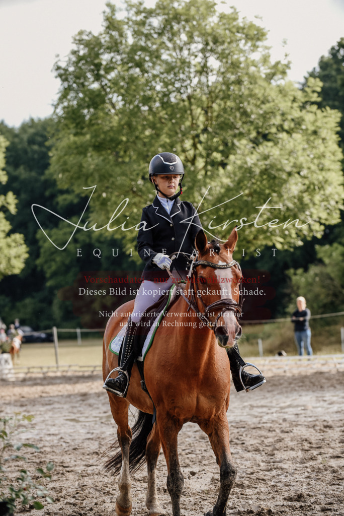 DSC_9134 | Pferde- und Turnierfotografie in Westsachsen. Pferdeportraits, Auftragszeichnungen und intuitive Kunst.