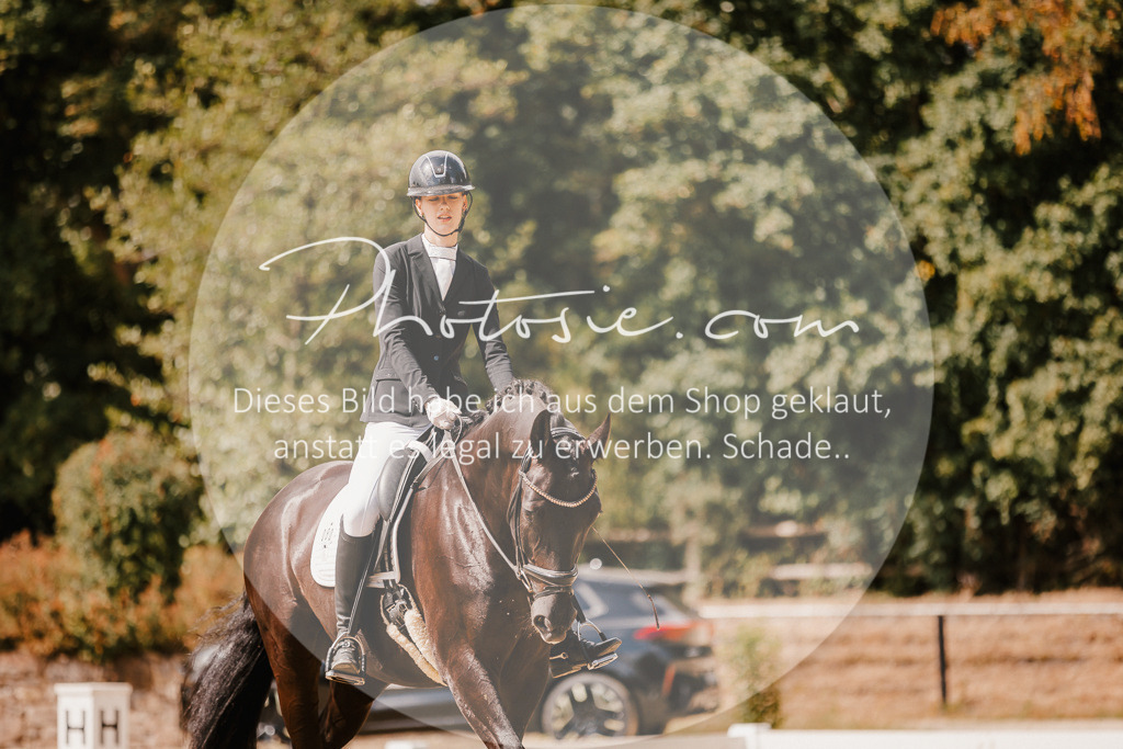 3I6A6085 | Stimmungsvolle Portraits und Reitsportfotografie im Ruhrgebiet und im Münsterland.

Pferdefotografie, Hundefotografie, Tierfotografie, Reportagen, Portraits von Tier und Mensch, Turnierfotografie in Bochum, Recklinghausen, Marl, Haltern am See, Dülmen.. - Realisiert mit Pictrs.com