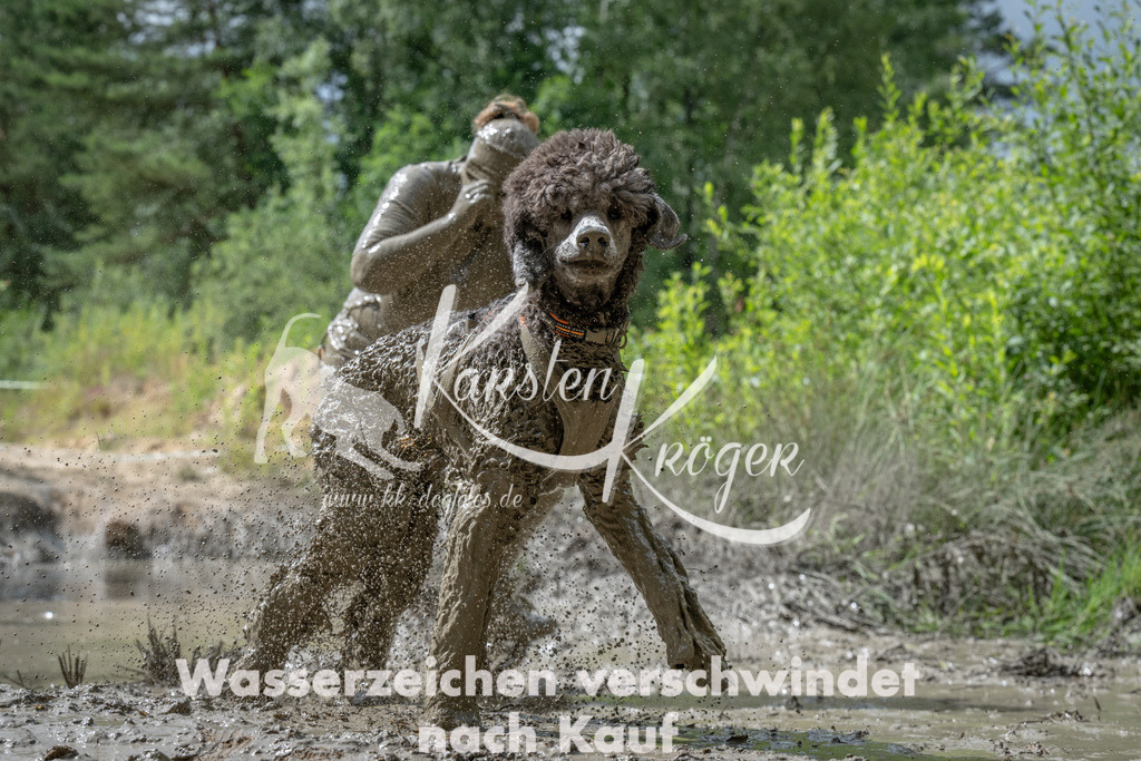 1100_ZZ91227 | kk-dogfotos