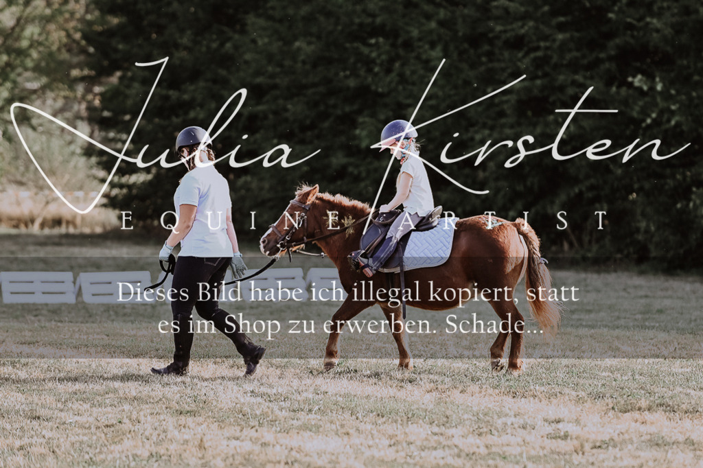 DSC_0143 | Pferde- und Turnierfotografie in Westsachsen. Pferdeportraits, Auftragszeichnungen und intuitive Kunst.