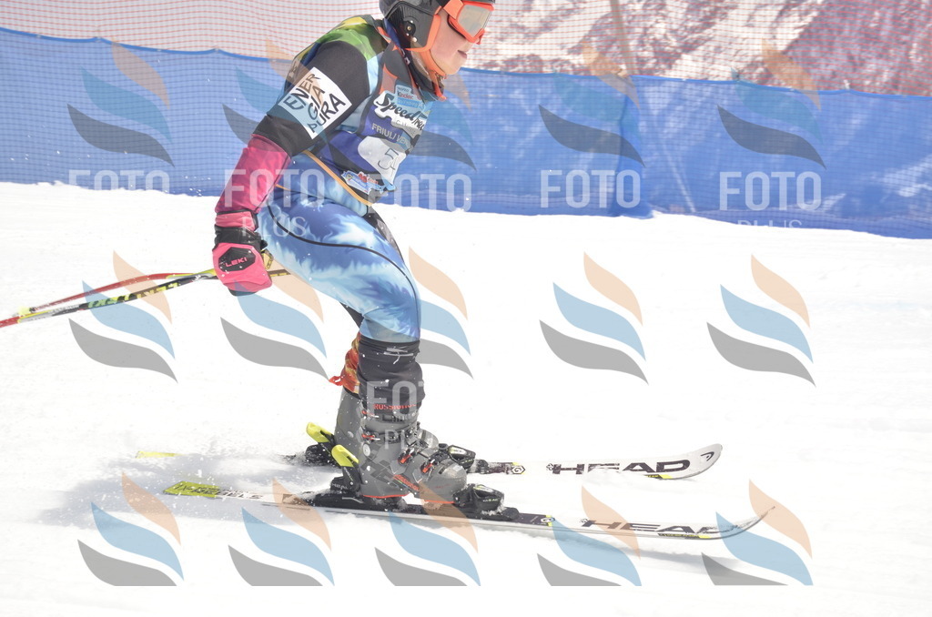 _ELE8851 | holidayphoto