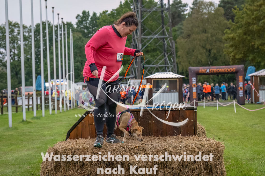 1204--14 | kk-dogfotos