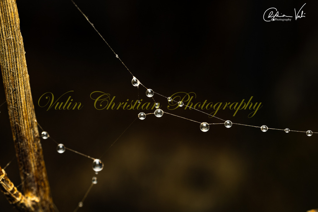 MN 26 | Christian Vulin  - Realisiert mit Pictrs.com