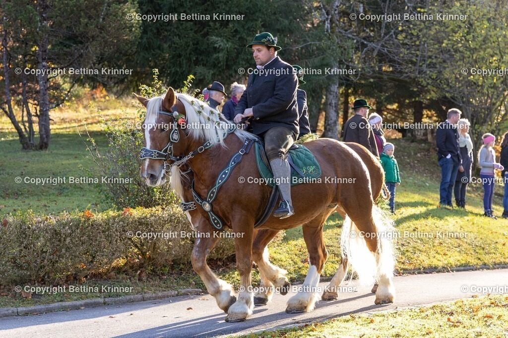 LL24-195 | foto-bettina-krinner - Realisiert mit Pictrs.com