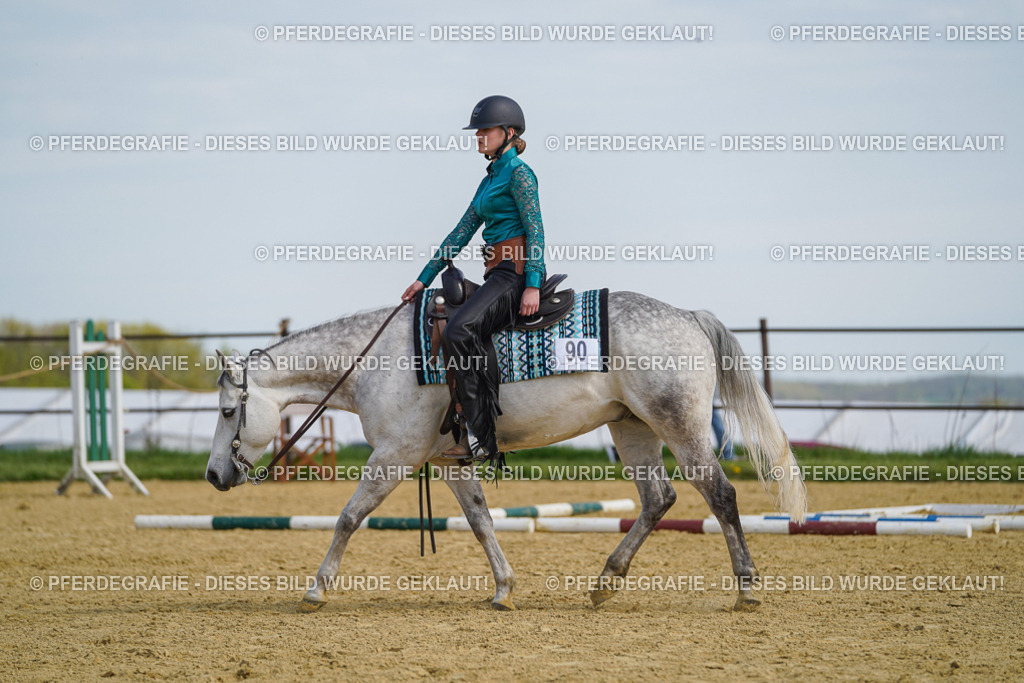 DSC04659 | Pferdegrafie