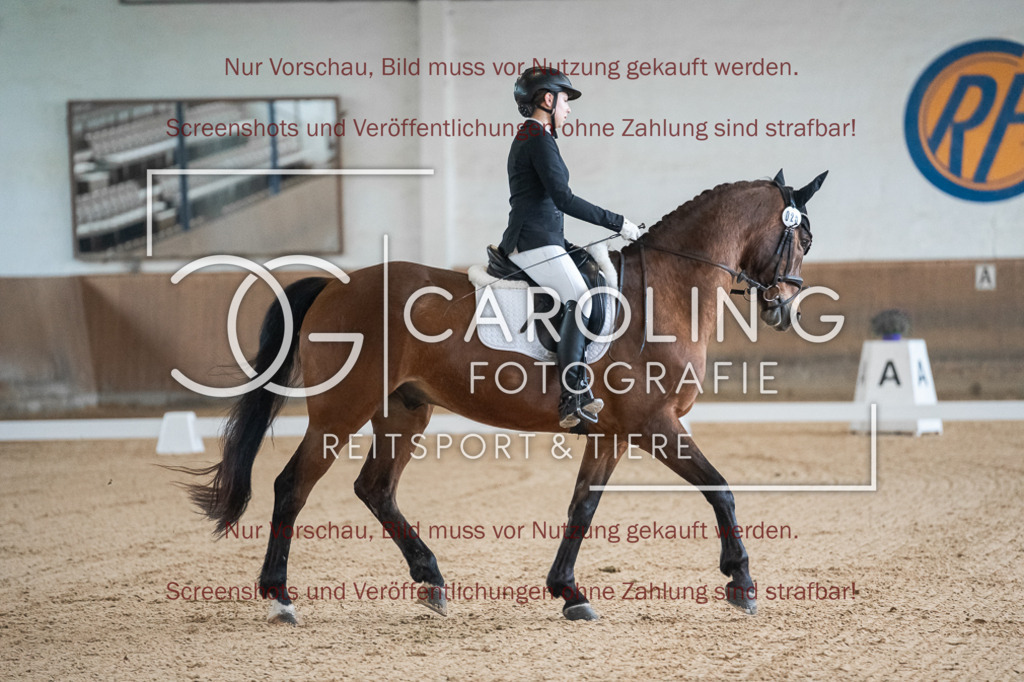 DSC01701 | Reitturnier_Göppingen_April_2026, marla_fischer, Vitali_K.