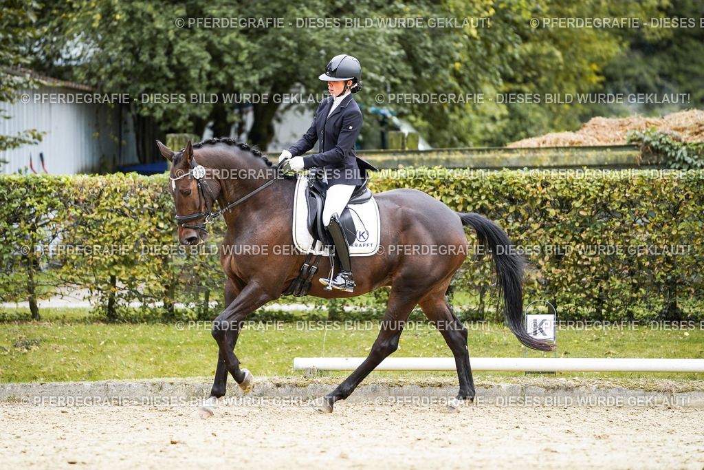 DSC00936 | Pferdegrafie