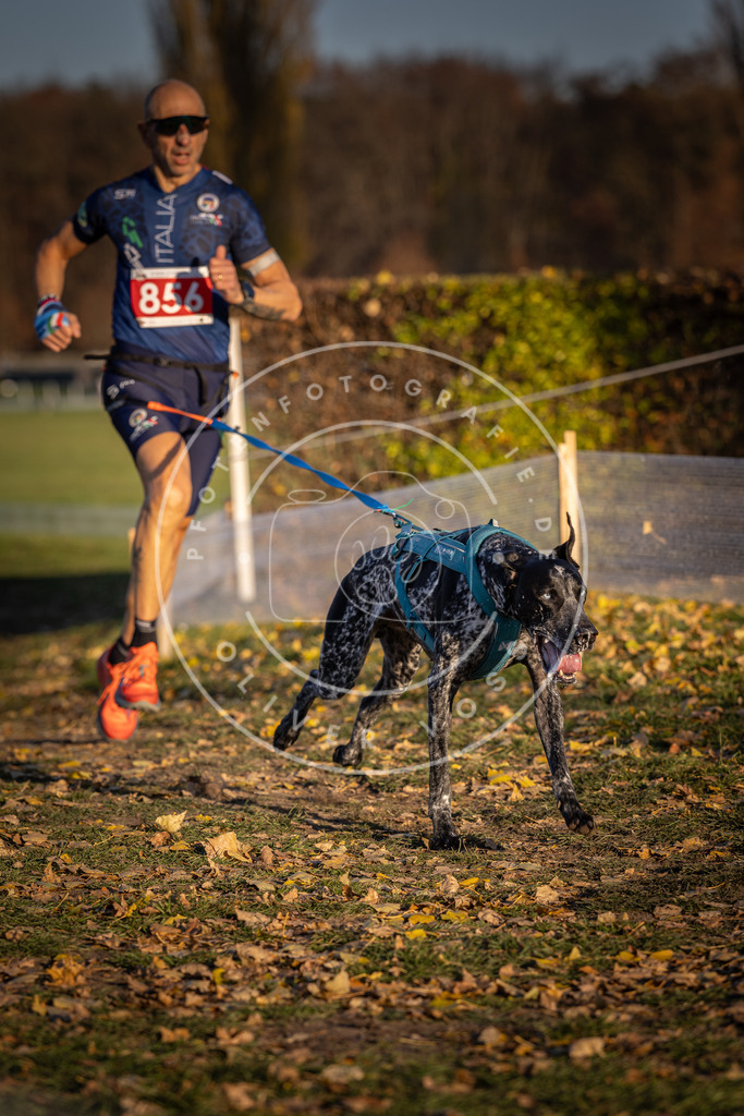 CaniXpix_DV3A3974 | Hundefotografie, Tierfotograf, Pfotenfotografie, Fotoshooting Hund, Hunde Portrait, Hundesport, Hundeportraits, Heideshooting, Hunde, Sportfotograf, Hundefotograf, Turnierhundsport, THS,  - Realisiert mit Pictrs.com