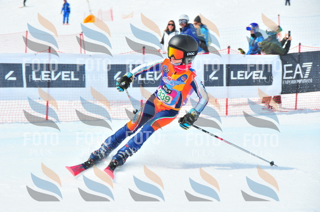 DSC_3096 | holidayphoto