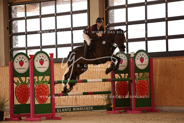 1J2A2977Leonie Ulrich_ Campino M 5_ Kn058_ Hohen Wieschendorf_ Glantz | Foto- und Videografie für alles rund ums Pferd. Hochwertige Bilder und Videos vom Spring- und Dressurreiten, Voltigieren & mehr. Jetzt aktuelle Veranstaltungen und Preise im Shop ansehen. - Realisiert mit Pictrs.com