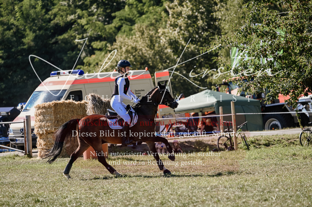 DSC_2931 | Pferde- und Turnierfotografie in Westsachsen. Pferdeportraits, Auftragszeichnungen und intuitive Kunst.