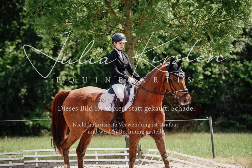 DSC_1373 | Pferde- und Turnierfotografie in Westsachsen. Pferdeportraits, Auftragszeichnungen und intuitive Kunst.