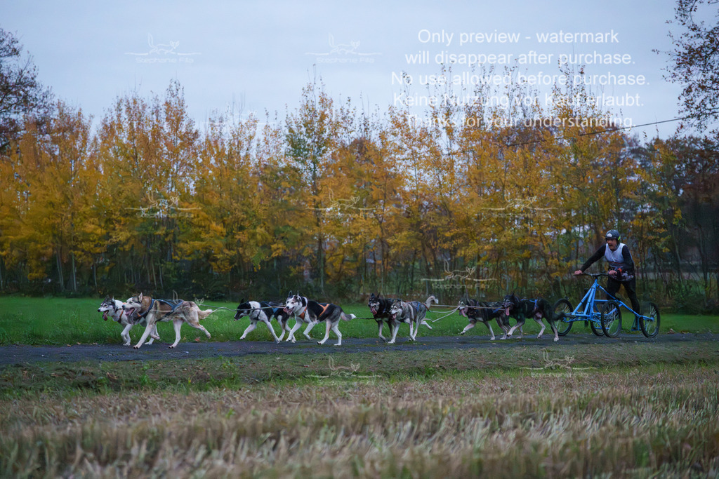 8er_Sa-6 | stephaniefillaphotographie - Realisiert mit Pictrs.com