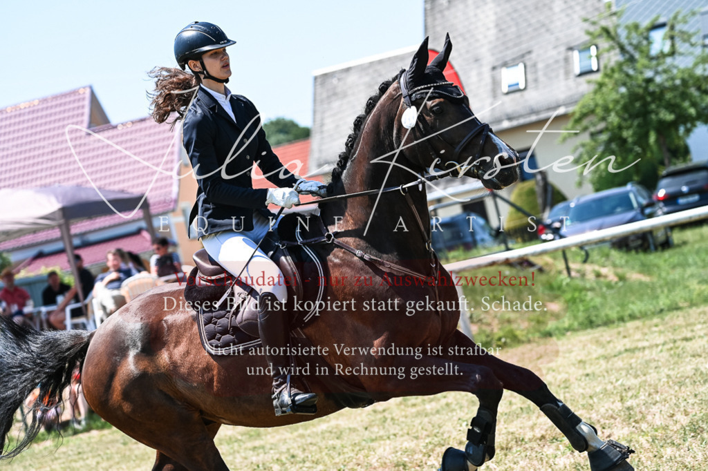 DSC_0443 | Pferde- und Turnierfotografie in Westsachsen. Pferdeportraits, Auftragszeichnungen und intuitive Kunst.