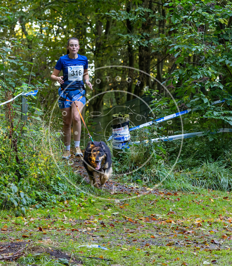 Pfotenfotografie_DV3A6923 | Hundefotografie, Tierfotograf, Pfotenfotografie, Fotoshooting Hund, Hunde Portrait, Hundesport, Hundeportraits, Heideshooting, Hunde, Sportfotograf, Hundefotograf, Turnierhundsport, THS,  - Realisiert mit Pictrs.com