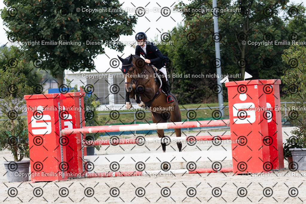 CL5A5018 | Emilia Reinking Fotografie - Realisiert mit Pictrs.com