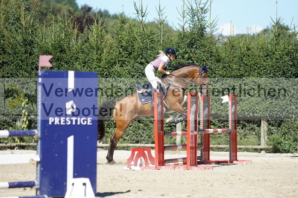 DSC08593 | equestrian-live-com