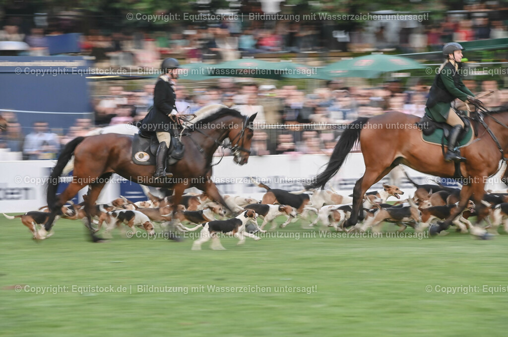 20230526_Pferdenacht_0651 | equistock