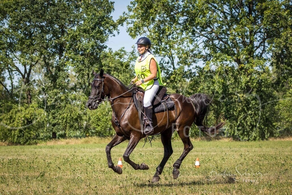 CJP_2026-06-26_206 | Stimmungsvolle Fotografie von Pferden, fotografische Begleitung von Veranstaltungen, Golfturnieren und Distanzritten - Realisiert mit Pictrs.com