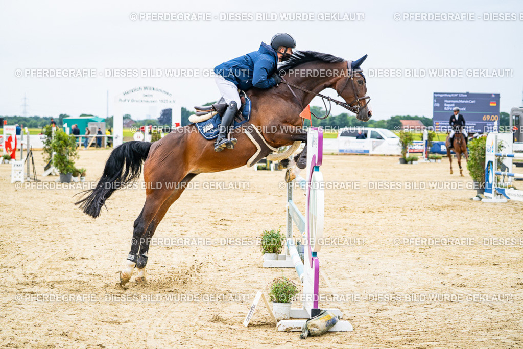 DSC06715 | Pferdegrafie