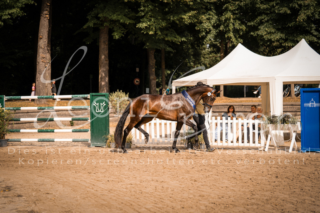 FrER00228 | Leoni Ertmer Photography - Realisiert mit Pictrs.com