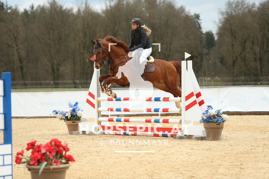 DL2Q2109 | Willkommen bei Brunnmayr - Design & Fotografie – Ihrem Spezialisten für Reitturniere und Pferdeveranstaltungen in Oberösterreich, Salzburg und Bayern! Seit über 17 Jahren sind wir leidenschaftlich dabei.