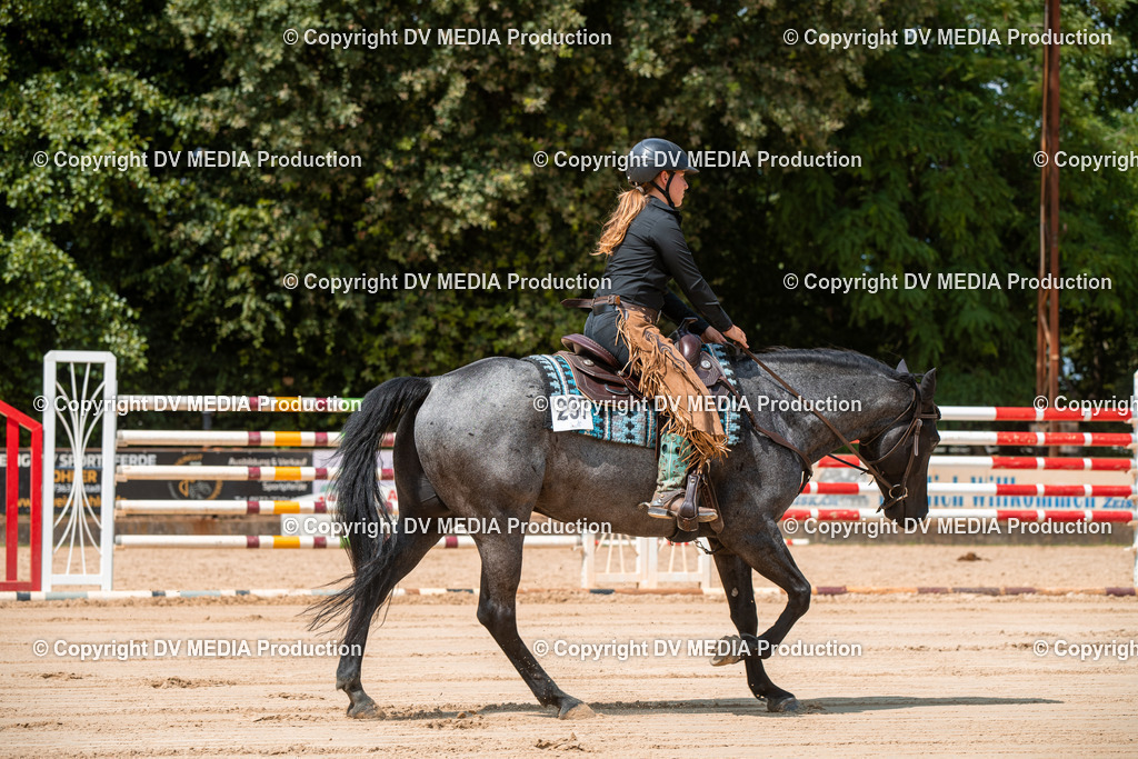 ZS2_8244 | dv-media-shop - Realisiert mit Pictrs.com