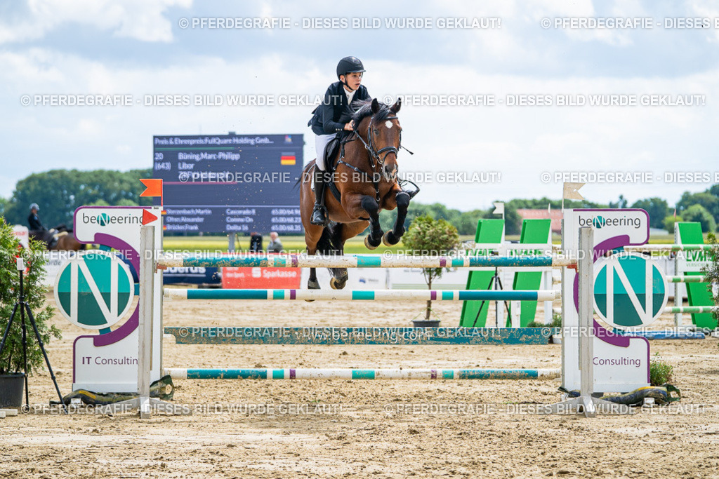 DSC05797 | Pferdegrafie