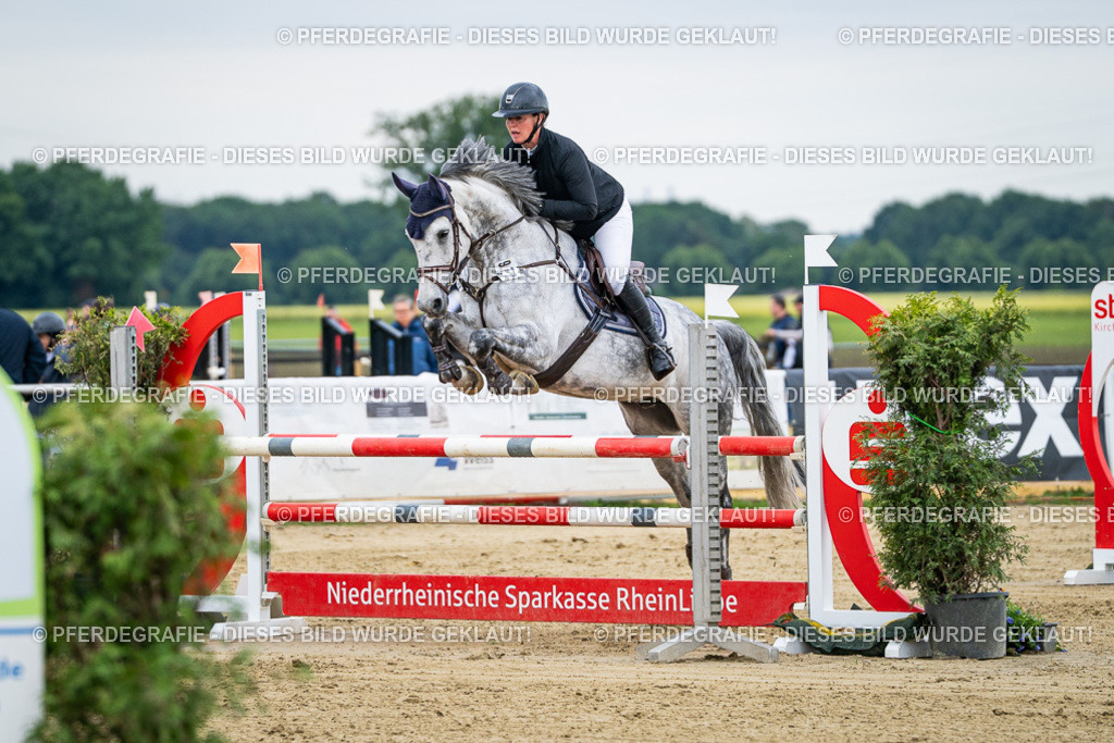 DSC05918 | Pferdegrafie