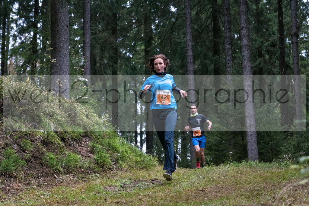 Herbstlauf | Neuhaus/Rwg. - Masserberg am 3. Oktober 2020