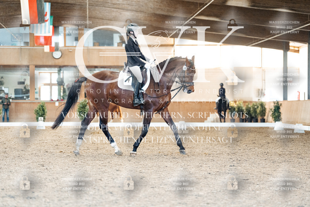 CK908056 | Turnierfotografie Pferdefotografie Trier Rheinland-Pfalz Pferdesport Reitsport Tierfotografie Sportfotografie Pferdevideo Pferdevideografie Equestrianvideography equestrianphotography  - Realisiert mit Pictrs.com